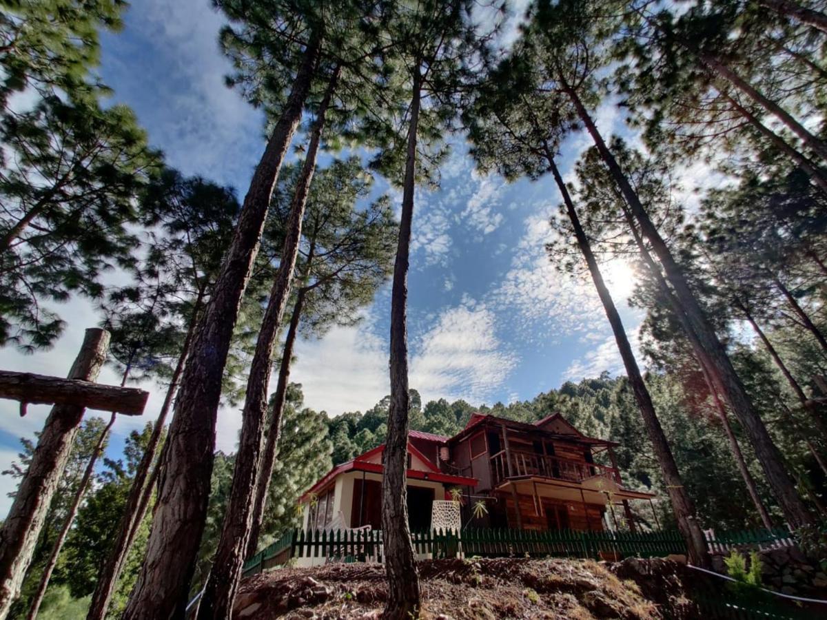 Pine Valley Resort Касаули Экстерьер фото
